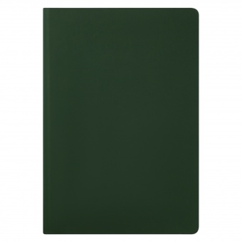 Ежедневник Spark недатированный, зеленый (без упаковки, без стикера) фото 