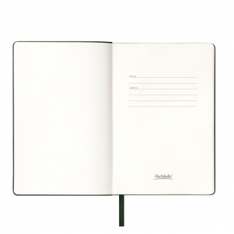 Ежедневник Spark недатированный, зеленый (без упаковки, без стикера) фото 