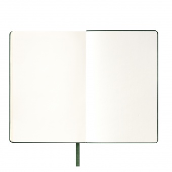 Ежедневник Spark недатированный, зеленый (без упаковки, без стикера) фото 