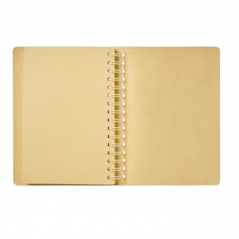 Ежедневник Vista недатированный, черный/бежевый фото 