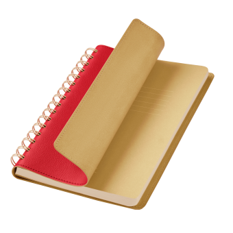 Ежедневник Vista недатированный, красный/бежевый фото 