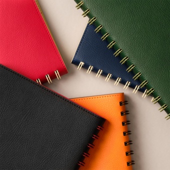 Ежедневник Vista недатированный, красный/бежевый фото 