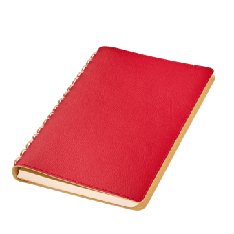 Ежедневник Vista недатированный, красный/бежевый фото 