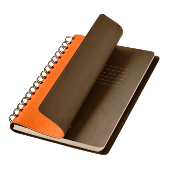 Ежедневник Vista недатированный, оранжевый/коричневый фото 