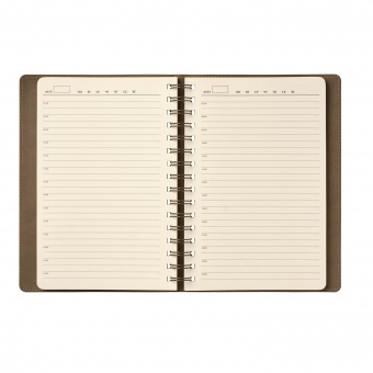 Ежедневник Vista недатированный, оранжевый/коричневый фото 