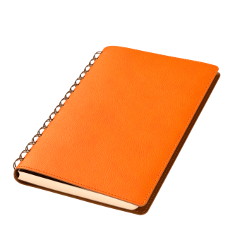 Ежедневник Vista недатированный, оранжевый/коричневый фото 