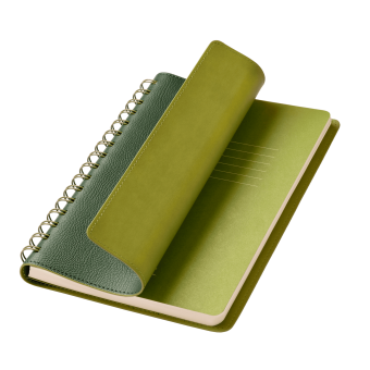 Ежедневник Vista недатированный, зеленый/салатовый фото 