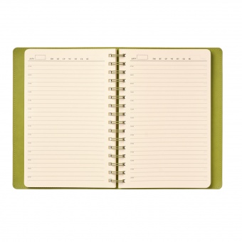 Ежедневник Vista недатированный, зеленый/салатовый фото 