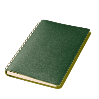 Ежедневник Vista недатированный, зеленый/салатовый фото 