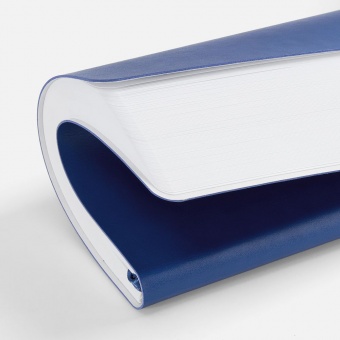 Ежедневник Waltz, недатированный, синий фото 