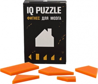 Головоломка IQ Puzzle, домик фото 