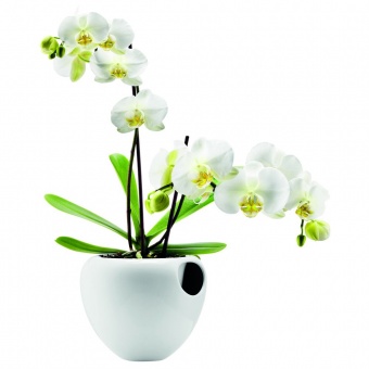 Горшок для орхидеи Orchid Pot, белый фото 
