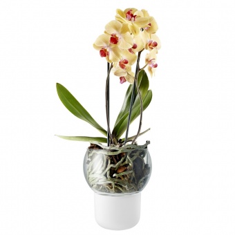 Горшок для орхидеи с функцией самополива Orchid Pot, большой, белый фото 