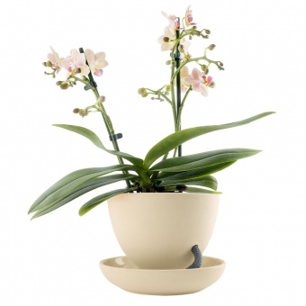 Горшок для растений Flowerpot, с блюдцем, коричневый фото 