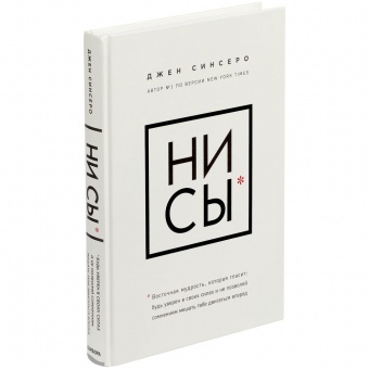 Книга «НИ СЫ» фото 