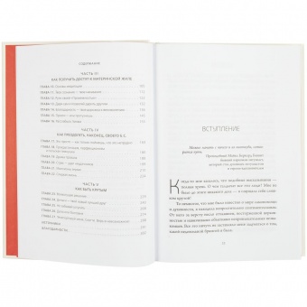 Книга «НИ СЫ» фото 
