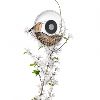 Кормушка для птиц Window Bird Feeder, прозрачная, малая фото 