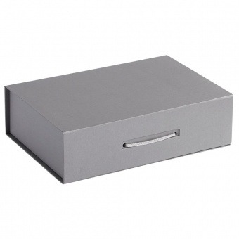 Коробка Case, подарочная, серебристая фото 