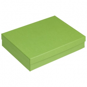 Коробка Reason, зеленая фото 