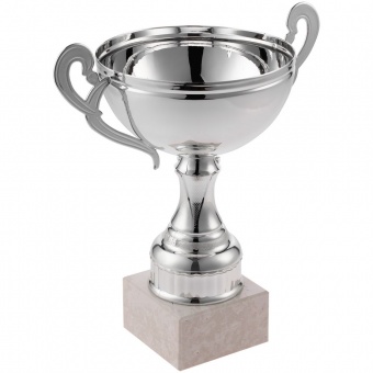Кубок Appro, большой, серебристый фото 