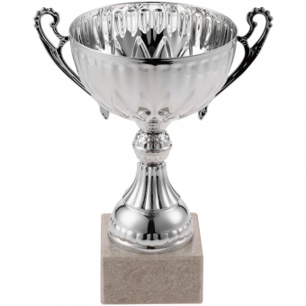 Кубок North King, средний, серебристый фото 