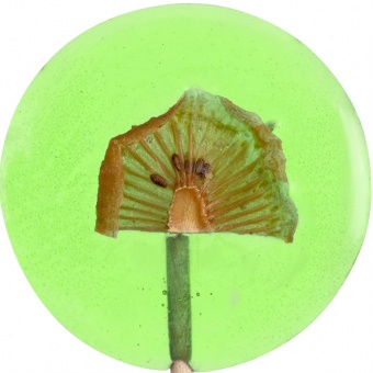 Леденец Lollifruit, зеленый с киви фото 