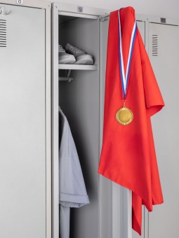 Медаль Regalia, большая, золотистая фото 