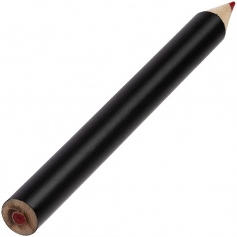 Набор цветных карандашей Pencilvania Tube Plus, черный фото 