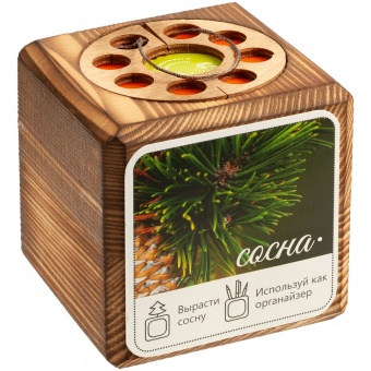 Набор «Сосна» фото 