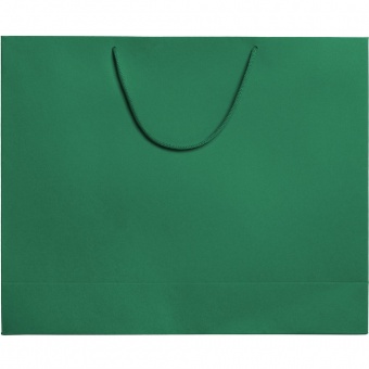 Пакет Ample L, зеленый фото 