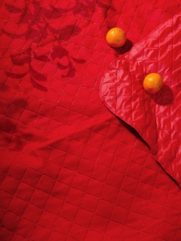 Плед для пикника Soft & Dry, темно-красный фото 