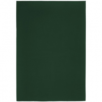 Плед Sheerness, темно-зеленый фото 