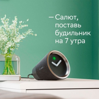 Умная медиаколонка SberBox Time, черная фото 