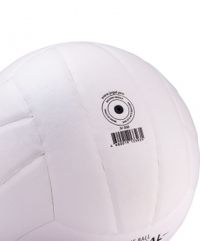 Волейбольный мяч Training, белый фото 