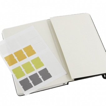 Записная книжка Moleskine Professional Large, черная фото 
