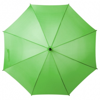 Зонт-трость Standard, зеленое яблоко фото 