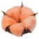 Цветок хлопка Cotton, оранжевый фото 1