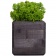 Декоративная композиция GreenBox Black Cube, зеленый фото 3