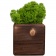 Декоративная композиция GreenBox Fire Cube, зеленый фото 3