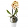 Горшок для орхидеи с функцией самополива Orchid Pot, большой, белый фото 2