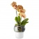 Горшок для орхидеи с функцией самополива Orchid Pot, малый, белый фото 3
