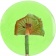 Леденец Lollifruit, зеленый с киви фото 5