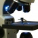 Монокулярный микроскоп Rainbow 50L с набором для опытов, белый фото 2
