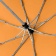 Зонт складной AOC, оранжевый фото 6