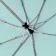 Зонт складной AOC, зеленый (мятный) фото 5
