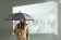 Зонт-трость Hurricane 23" , черный фото 7