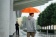 Зонт-трость Promo, оранжевый фото 5